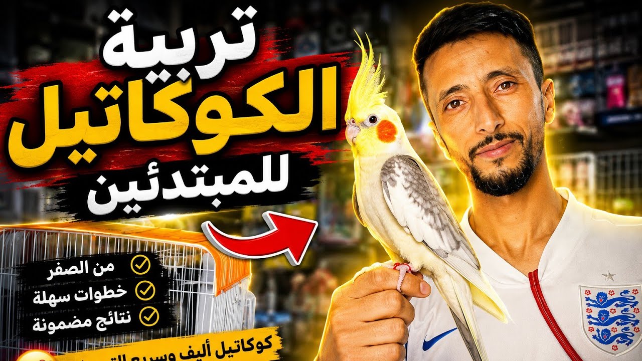 تربية طائر الكالوبسيت للمبتدئين 🕊️ من الصفر إلى الإحتراف 😱😍 !! 