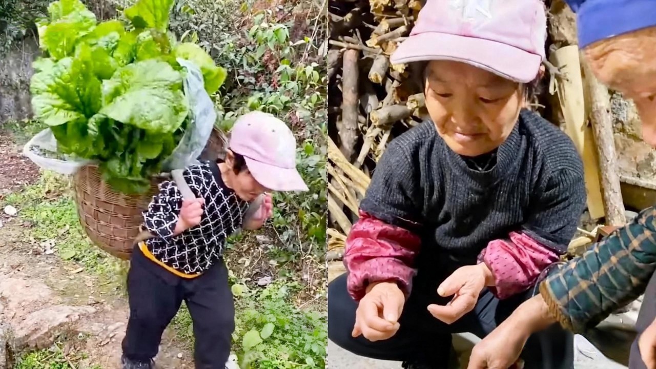 又到了做酸菜的季节，宋姐大早上就去摘菜叶，回家和好友一起做酸菜【农家宋姐】