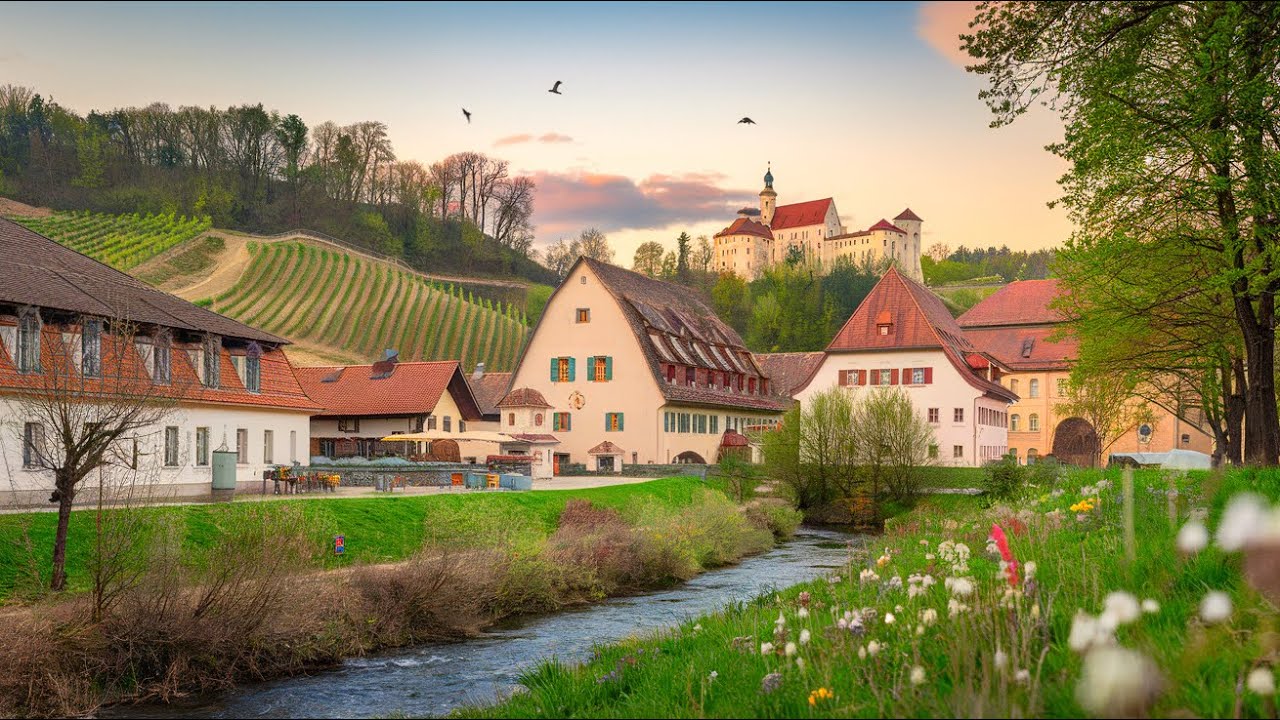 ГЕРМАНИЯ 🇩🇪 | ЖИЗНЬ В САМОМ КРАСИВОМ 🍇 ВИНОДЕЛЬЧЕСКОМ СЕЛЕ В ПФАЛЬЦЕ.