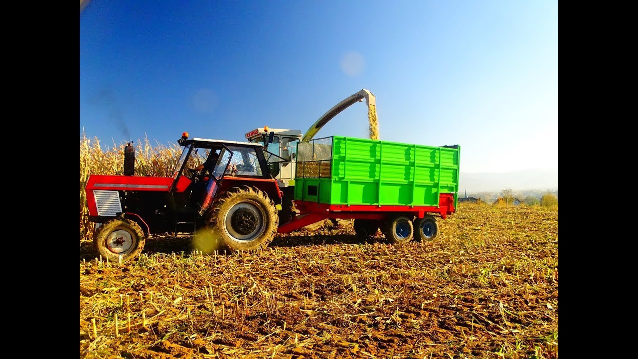 Kukurydza/Silage 2017 Zetor Ursus Claas Jaguar Fendt