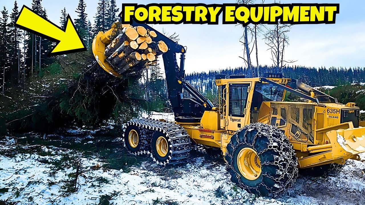 Forestry Equipment and Machines Working, Future of Logging Technology