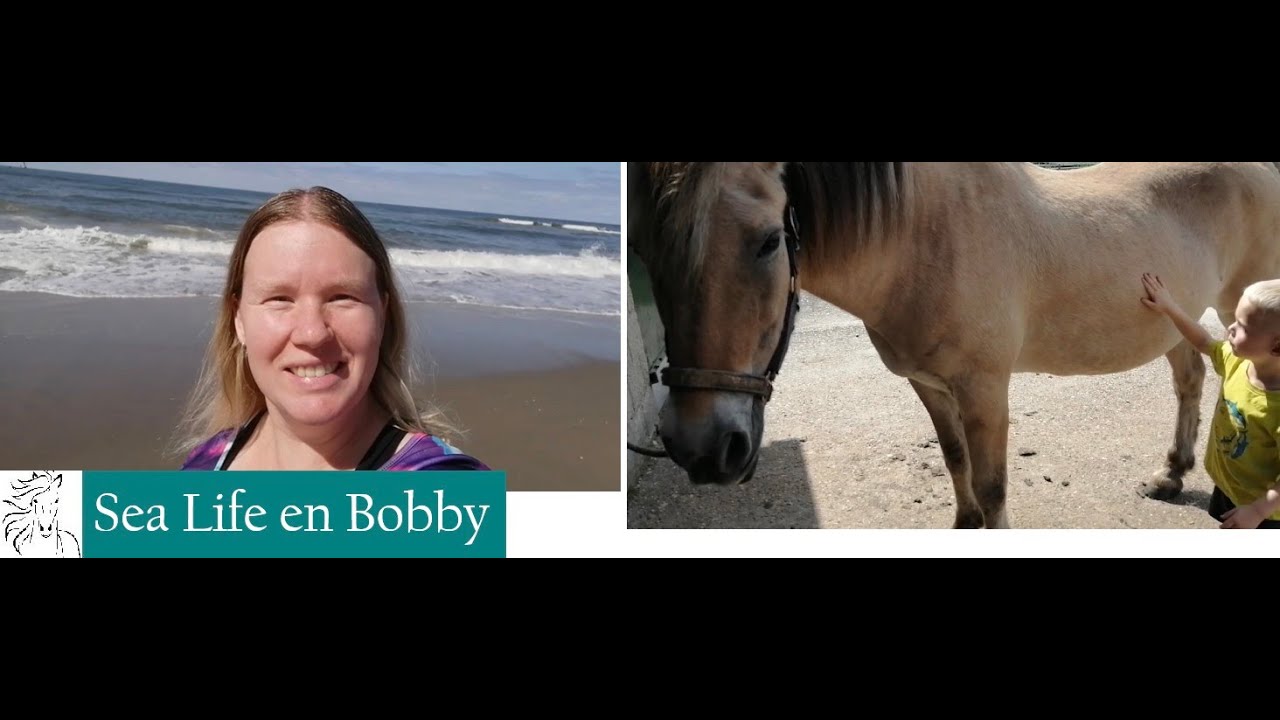 Sea Life en Bobby#VLOG109