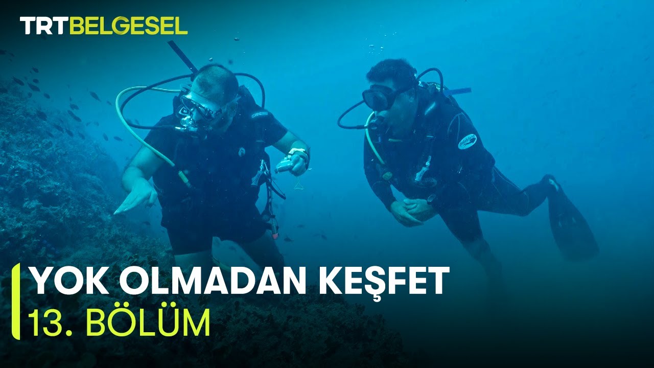 Yok Olmadan Keşfet | Saros Körfezi'ni Koruma Çalışmaları ve İklim Değişimi | TRT Belgesel