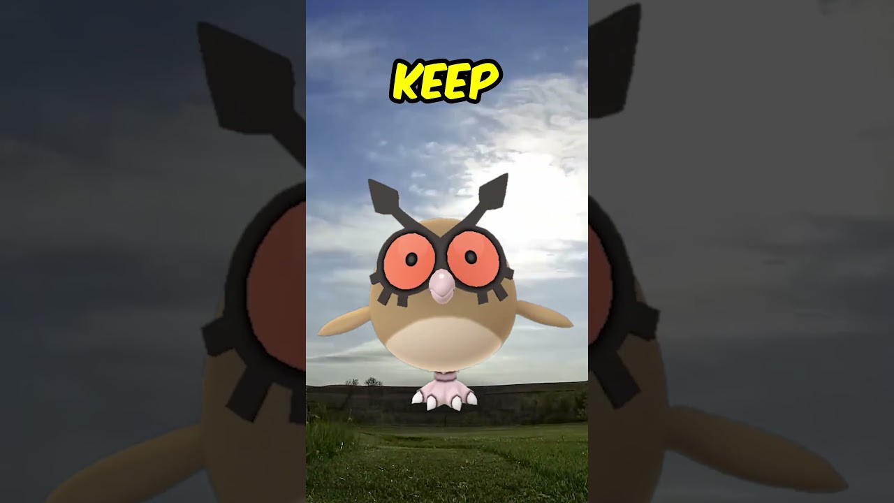 🦉 Four HootHoot Fun Facts