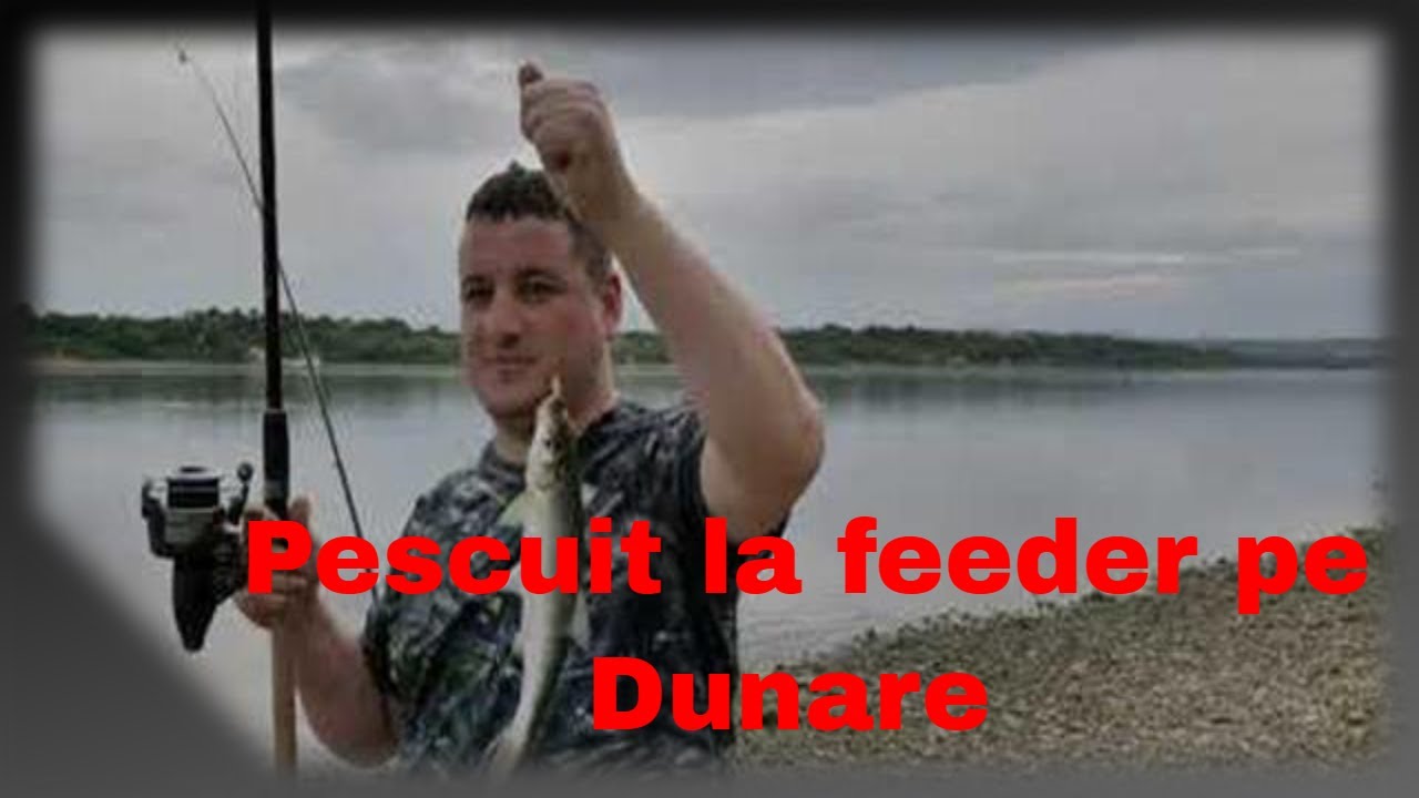 Pescuit de toamna pe Dunare la PF2 cu feeder-ul  #PF2