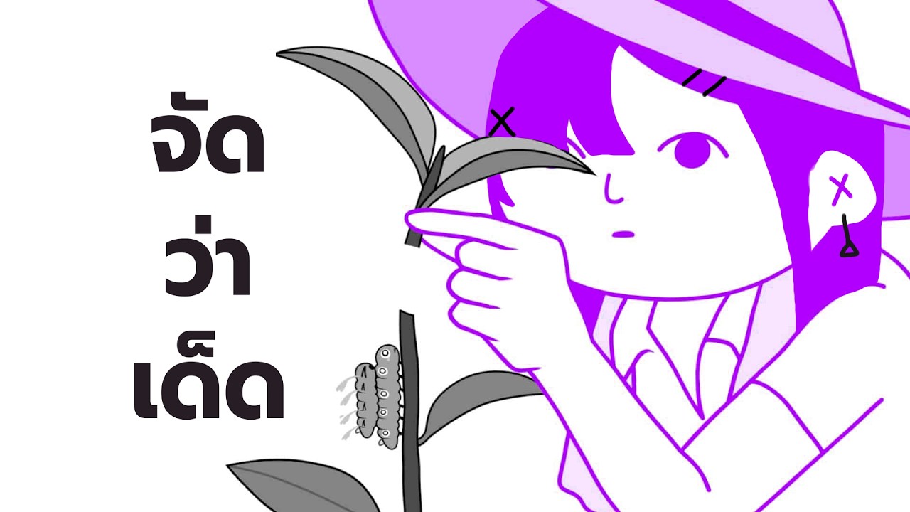แอบมาไลฟ์ KUUKIYOMI: Consider It World - Thailand Ver.