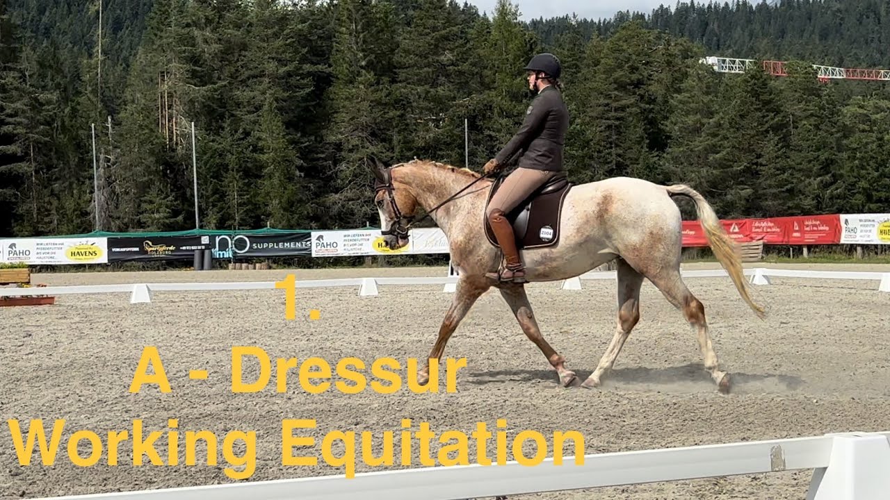Unsere erste A Dressur im Working Equitation (kommentiert)
