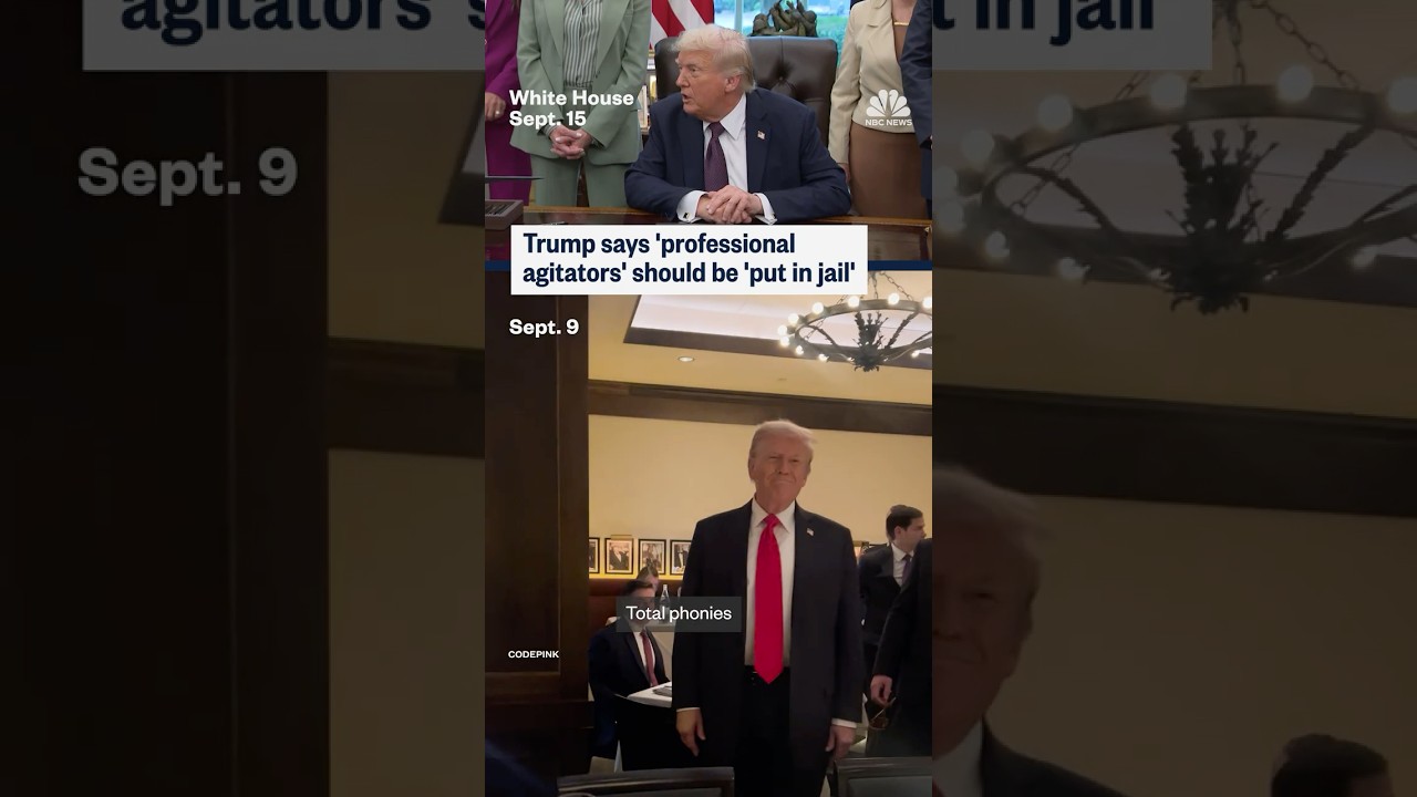 Trump says 'professional agitators' should be 'put in jail'