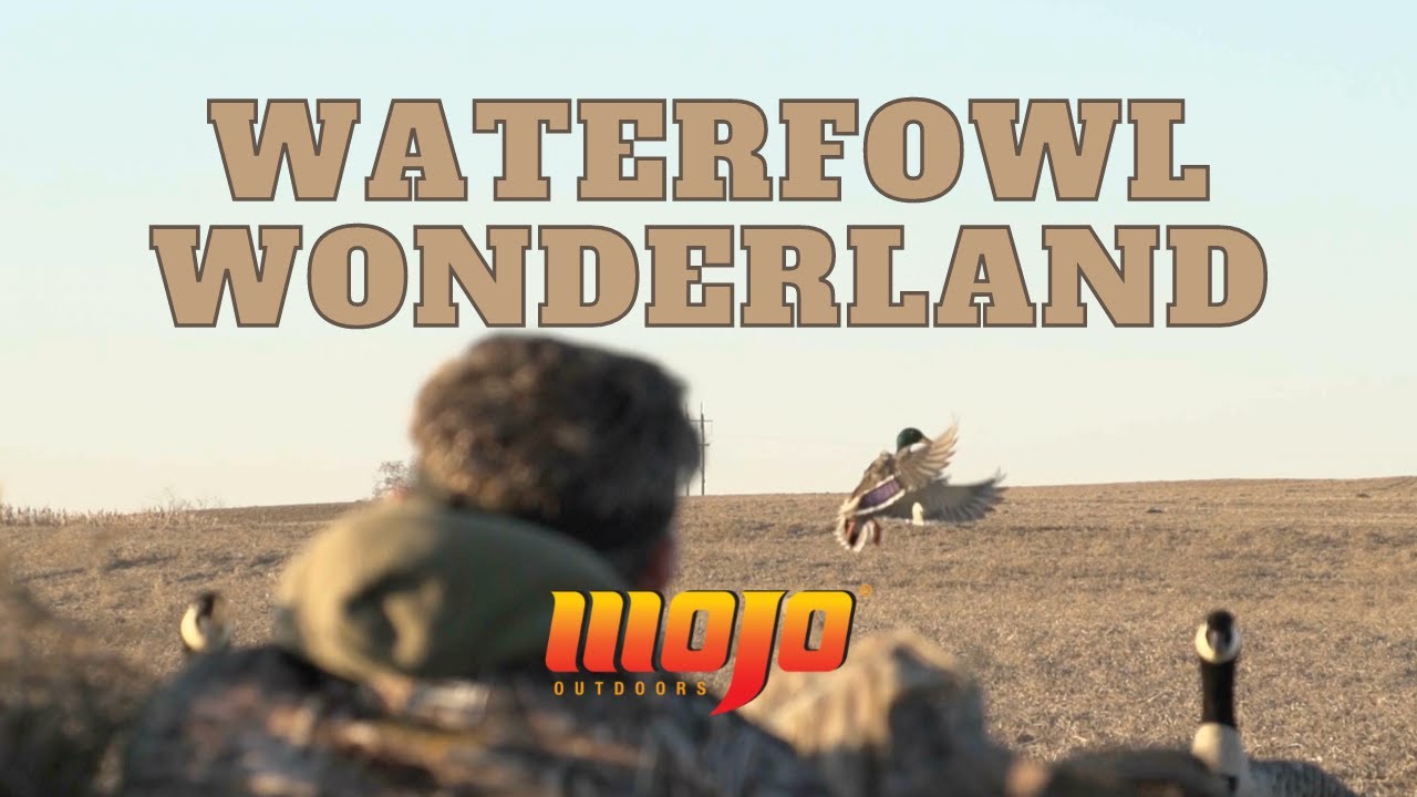 One Week in Canada Chasing Birds [ Mallard and Canada Goose Hunt ]