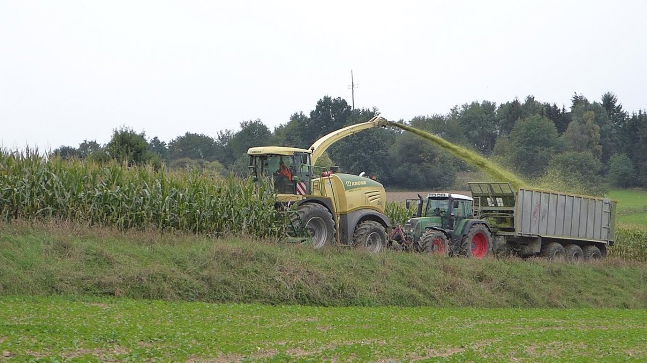 Krone Big X 480 im Erntestress - Maishäckseln mit LU Pommer