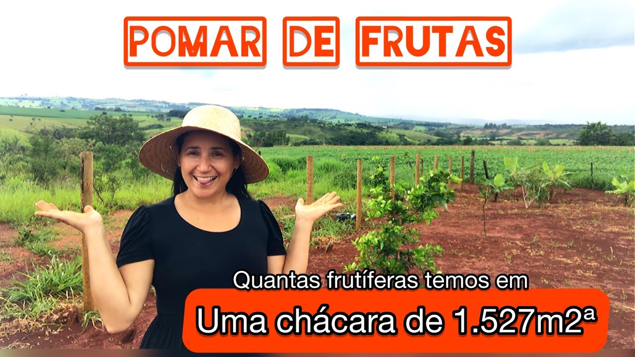 QUANTO JA GASTAMOS COM O POMAR DE FRUTAS?+DICAS E DETALHES DO NOSSO POMAR DO ZERO|FORMIGAS E MAIS