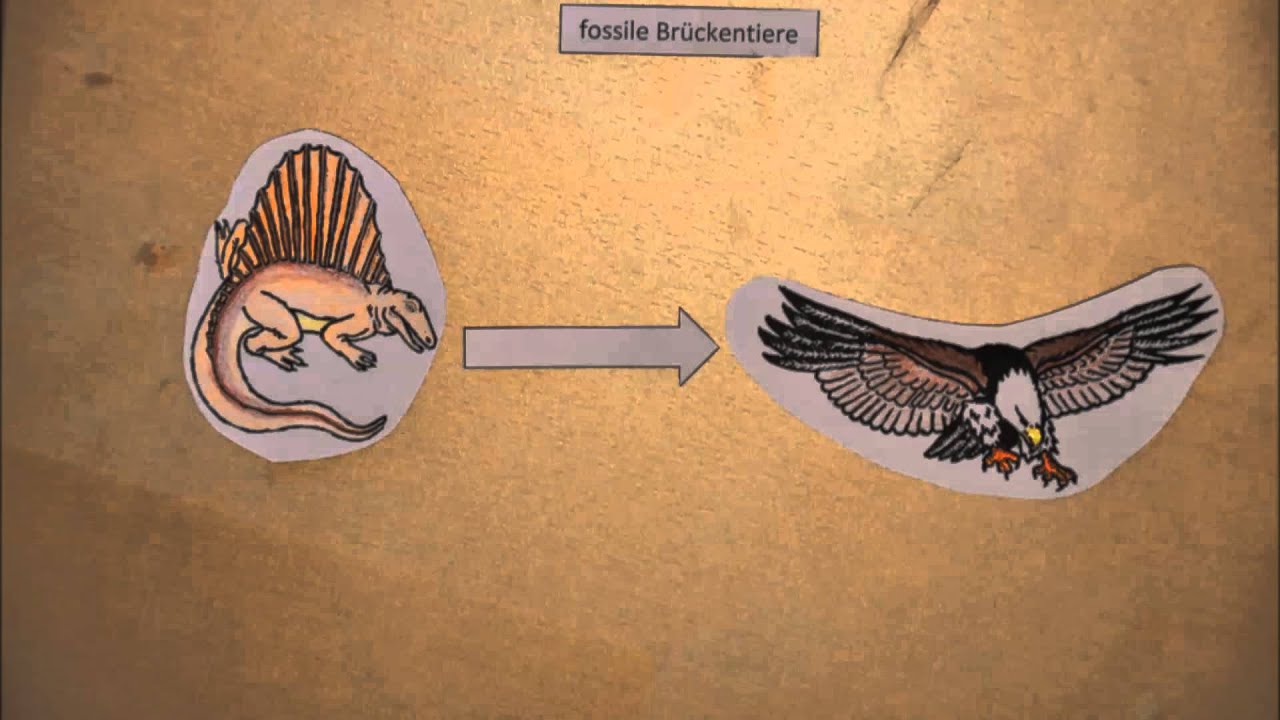Brückentiere