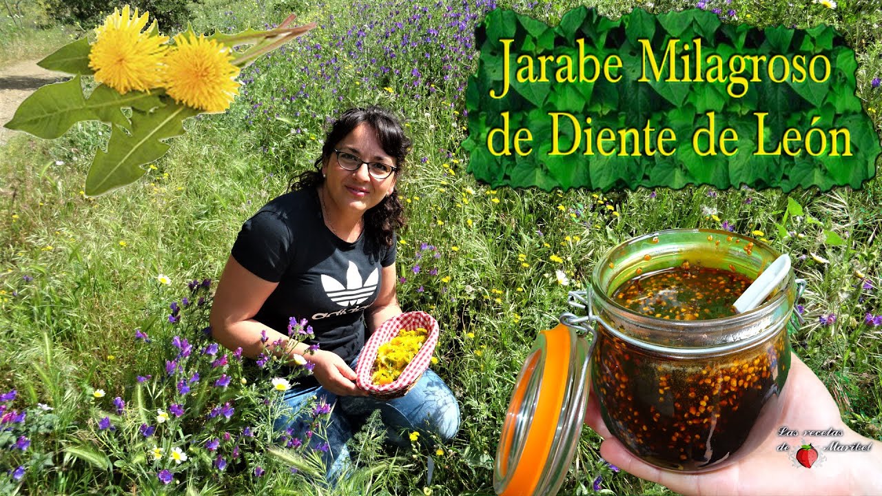 Jarabe Milagroso de Diente de León | Miel de Diente de León