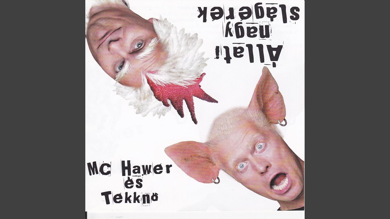Cigánygyerek vagyok