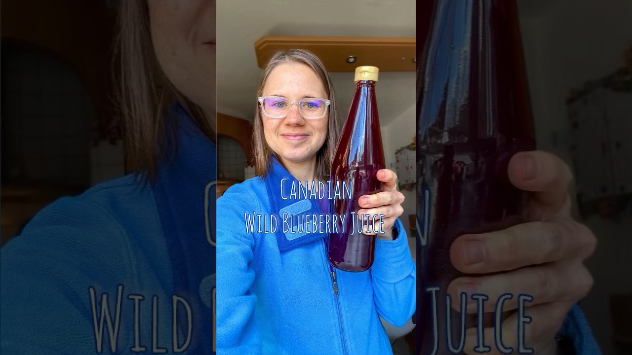 Canadian Wild Blueberry Juice DIY #wildblueberries #wildblueberryjuice #heavymetaldetox