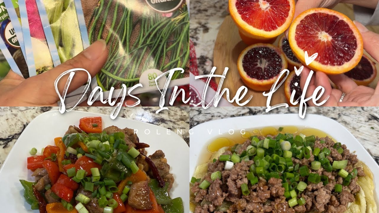 Days in my life| go voting, cooking, gardening 