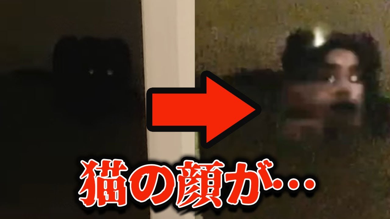 【ゆっくり解説】「夜眠れなくなる…」カメラが捉えた身の毛もよだつ恐怖映像9選