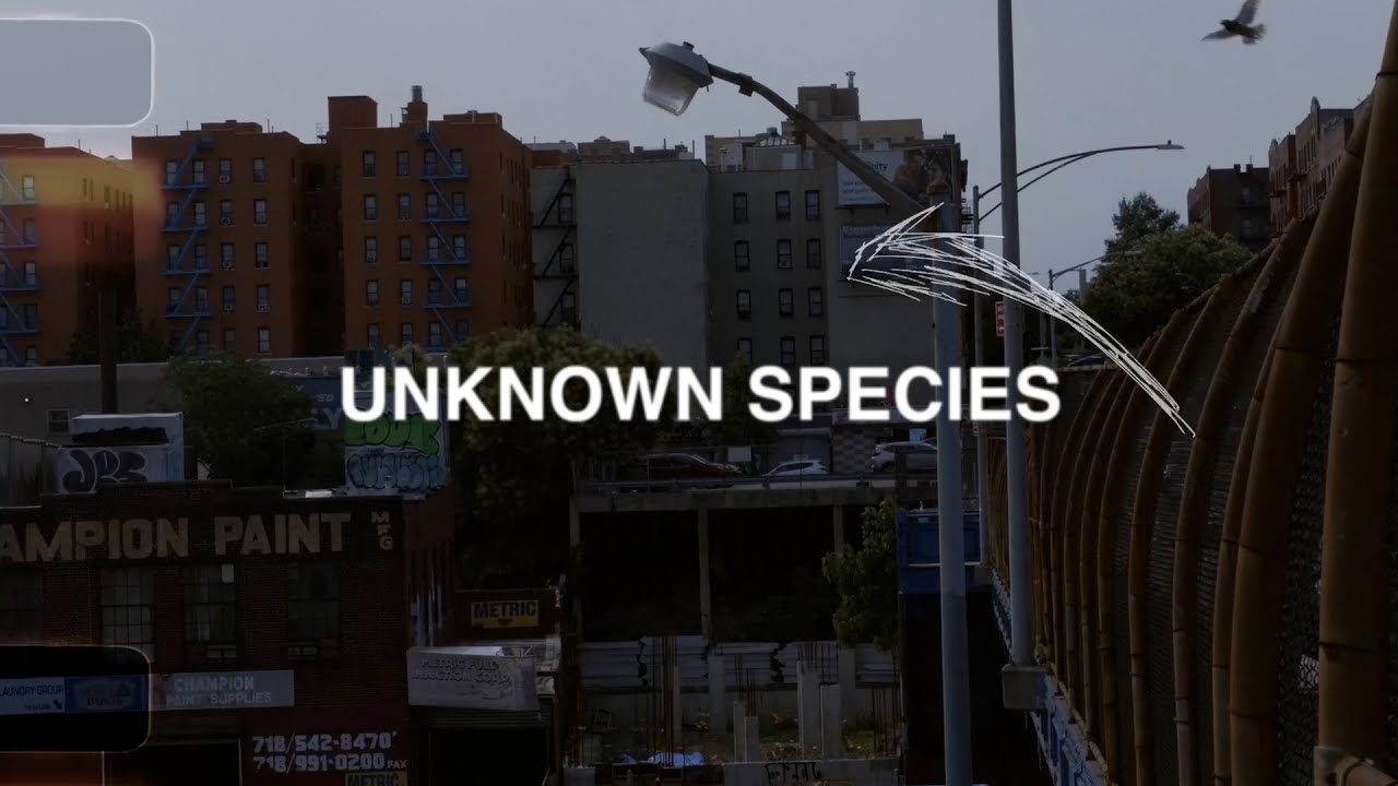 Kurious - Unknown Species (Official Video)