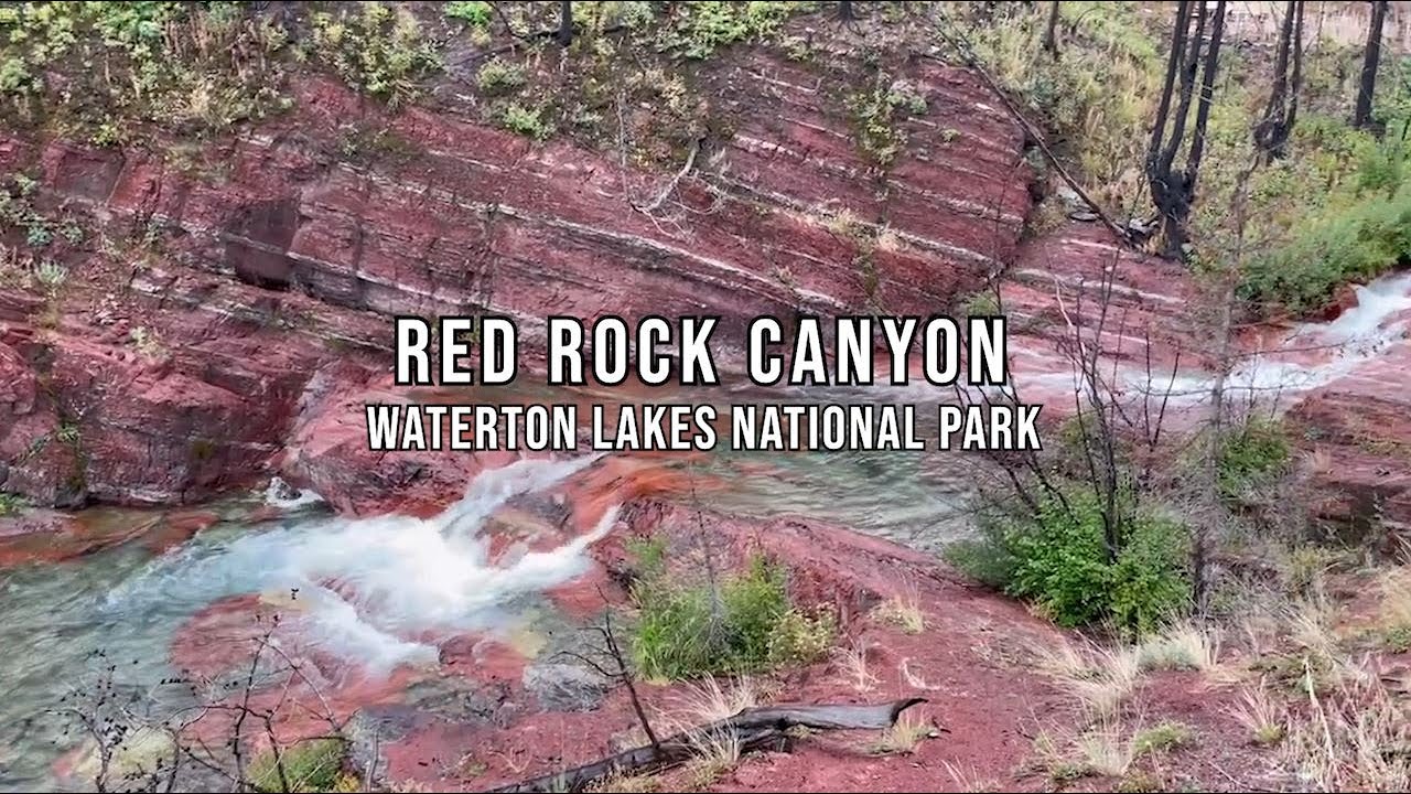 Red Rock Canyon, Waterton Lakes National Park
