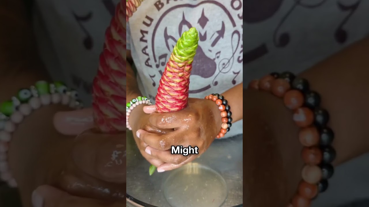 Popular Strange Flower Plant 😳