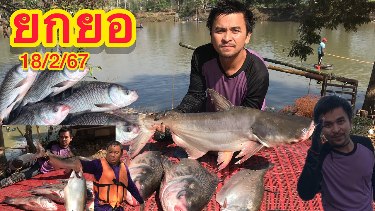EP.113 ยกยอ หาปลา หนองไคร้ใหว บ้านห้วยสัก  บัตร 500 บาท
