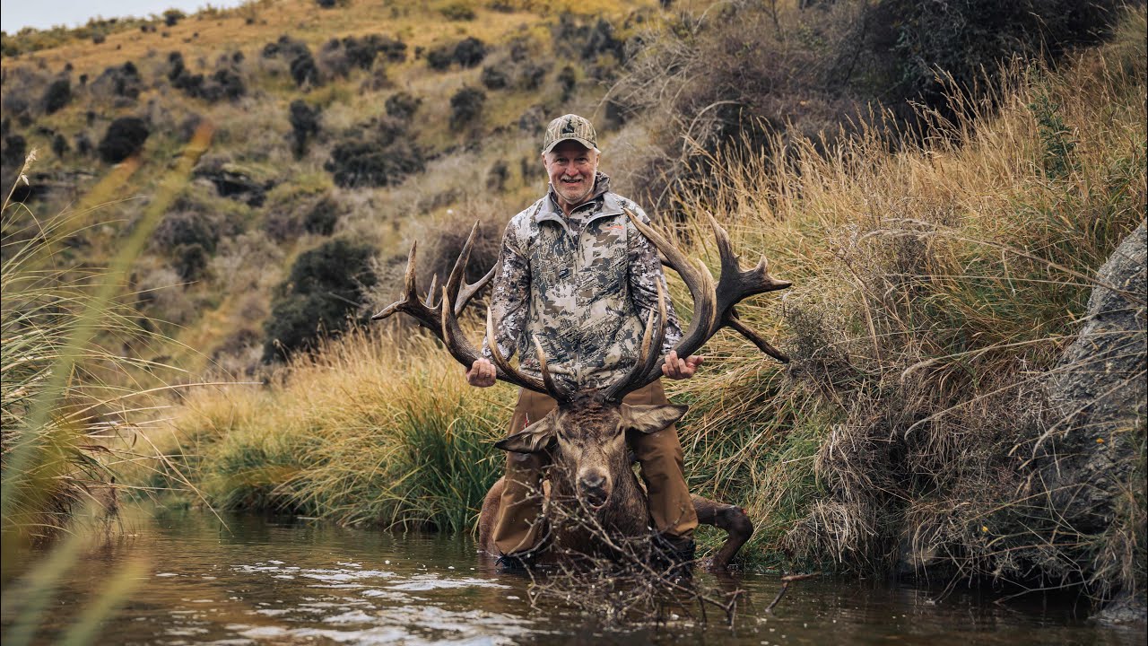Red stag and Fallow Buck hunt in New Zealand