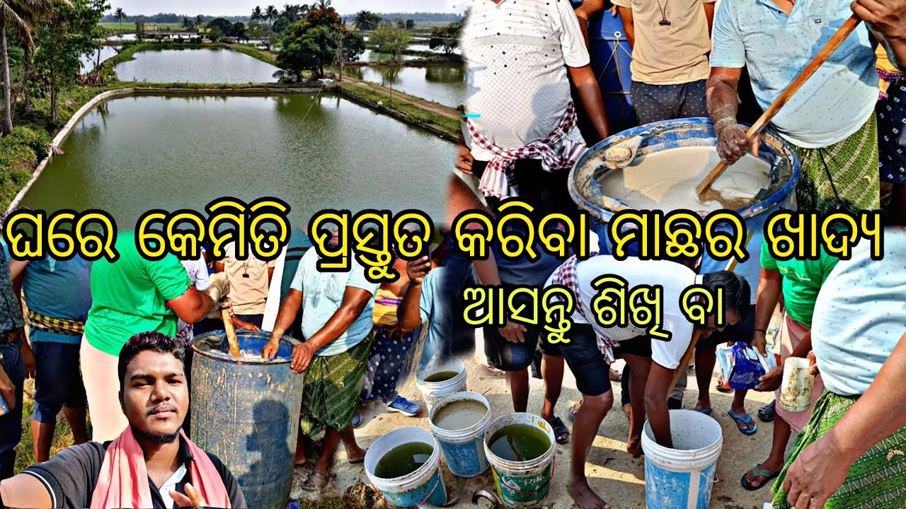 ନିଜ ଘରେ କେମିତି ତିଆରି କରିବା ମାଛର ଖାଦ୍ୟ ? || କେତେ ପରିମାଣ ରେ ପଡିବ || କଣ କଣ ପଡିବ @lifeofsridhar9099