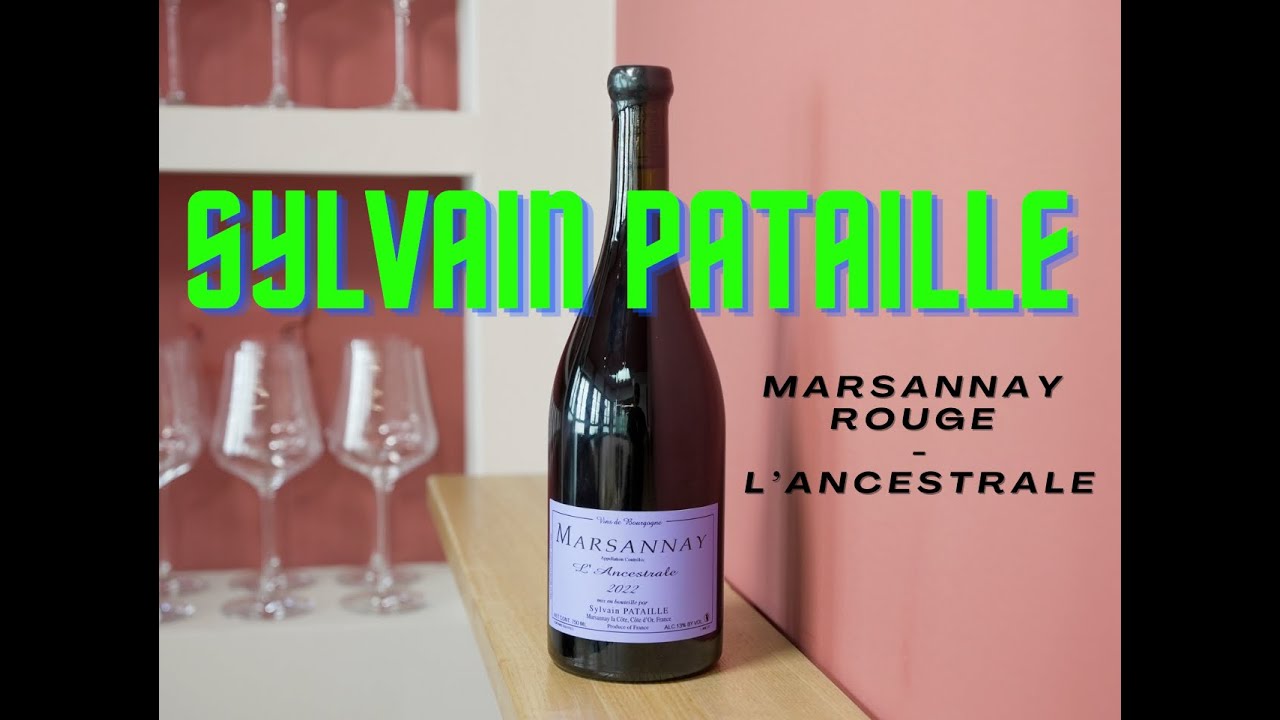11 - VITEVINI - Sylvain Pataille - Marsannay Rouge L'Ancestrale