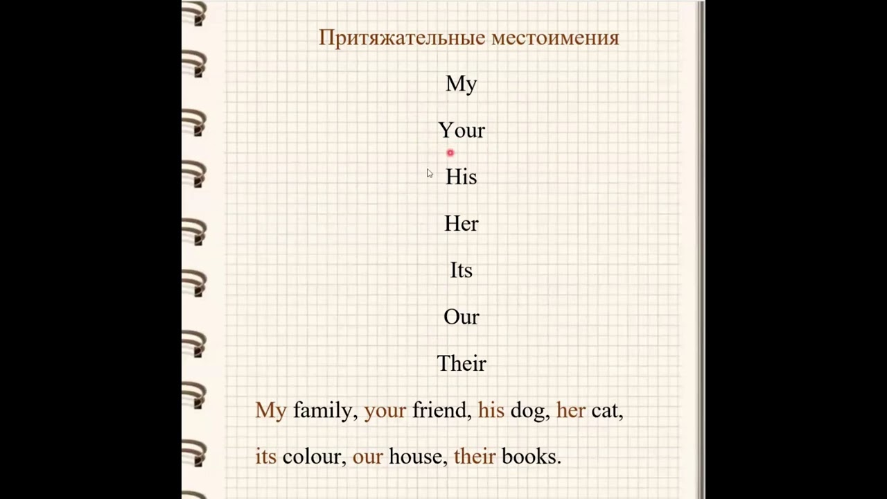 Видео 12. Притяжательные местоимения в английском: my, your, his, her,...