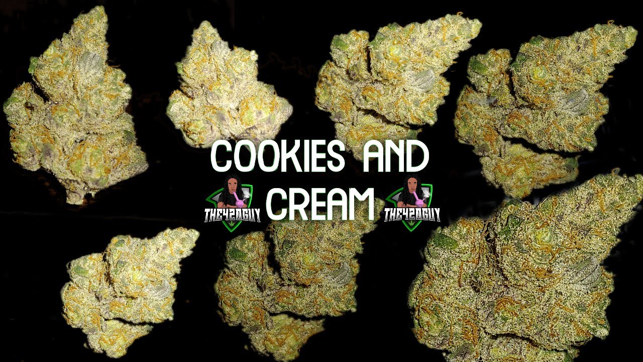Cookies And Cream - Delta Revolution -Arkansas Medical Marijuana Review(The420guy)