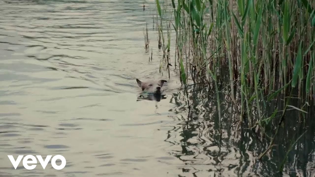 Severina - Prijateljice