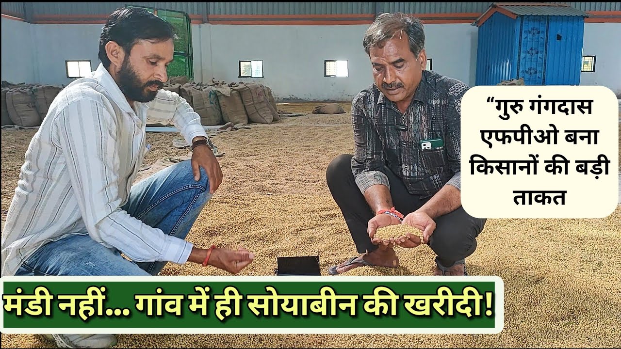 सोयाबीन खरीदी का नया मॉडल! गांव में ही एफपीओ दे रहा बेहतर भाव