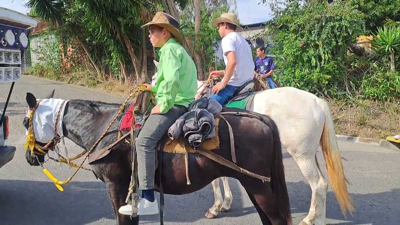 Desfile dia del amor y la amistad  valle edo tachira Venezuela 