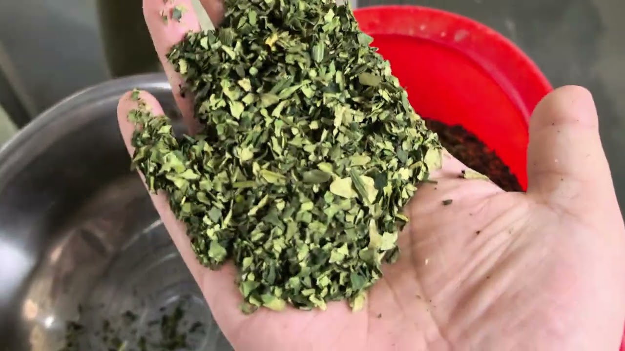 The Production and Processing Process of Matcha Powder & Matcha processing machinery and equipment