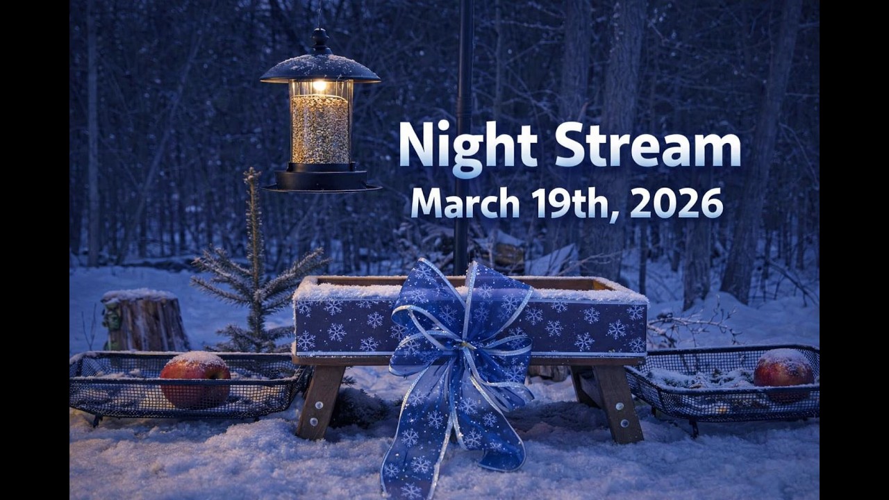 Night Stream LIVE – March 19th, 2026 | Owls, Deer & Midnight Visitors 🌙❄️