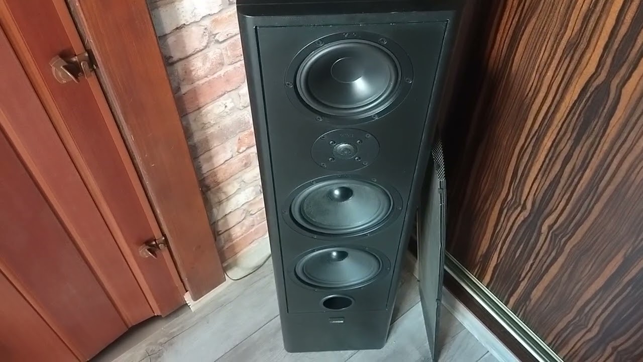 Technics 1992 + Canton Fonum 701 