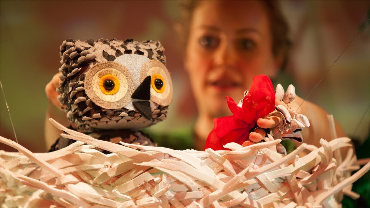 WOW! Said the Owl | Trailer