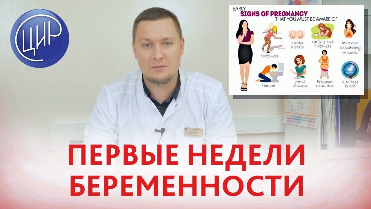 Первые недели беременности. Что происходит в организме матери в первые 2-5 недель беременности.