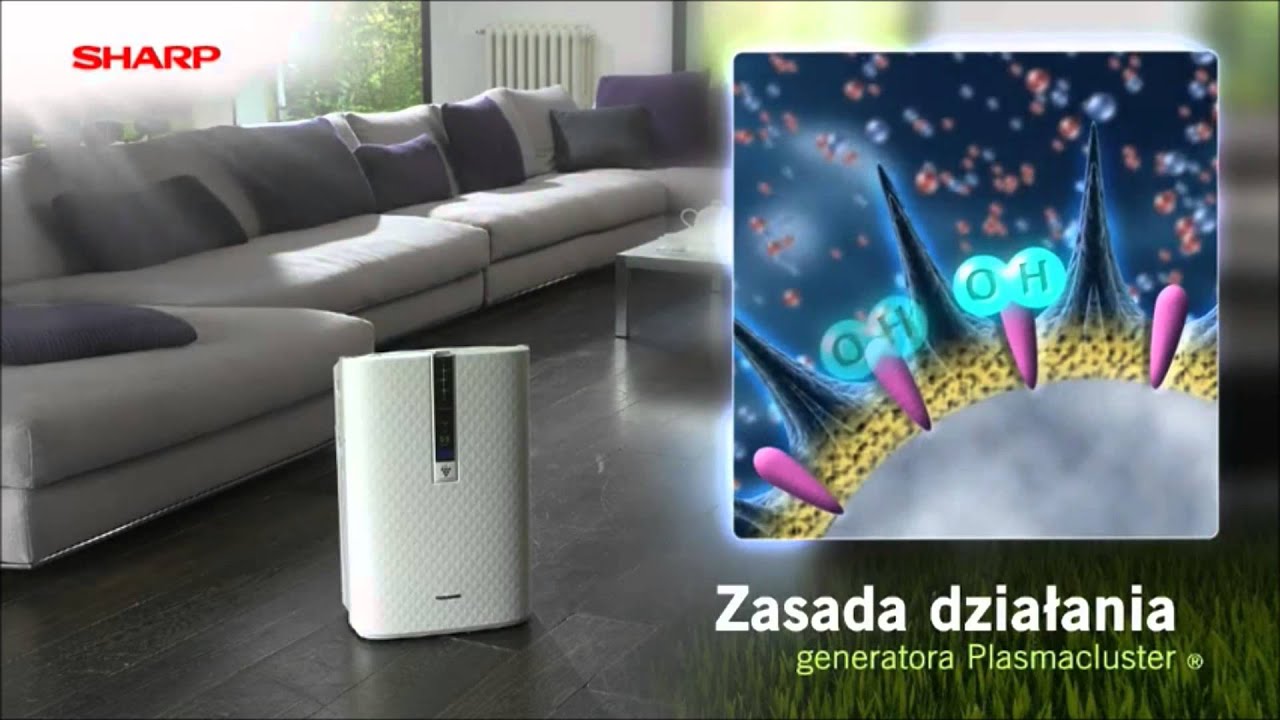 Jak działają oczyszczacze powietrza Sharp? Czym jest technologia Plasmacluster?