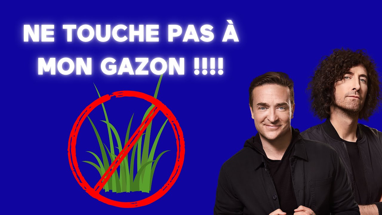 [ÉNERGIE] 🚨 Ne touche pas à mon gazon!! 🚨 – Coup de 16h20