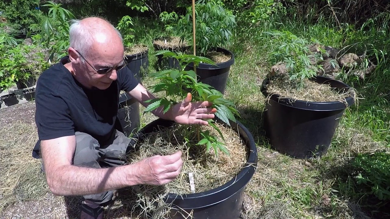 The Craft Grower Season two episode one