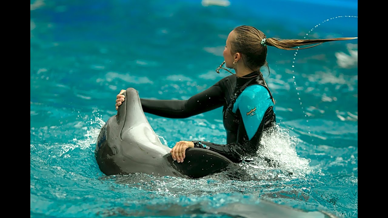 Дельфинарий НЕМО Одесса 18.08.2016 Dolphinarium NEMO Odessa