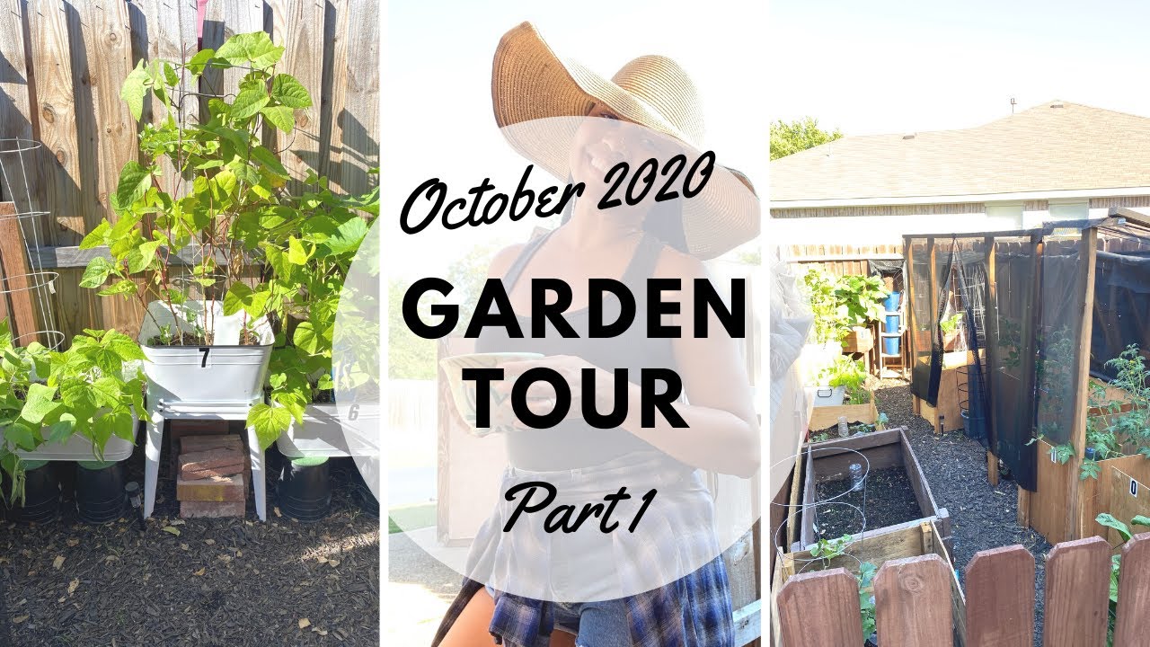 October 2020 Garden Tour Part 1