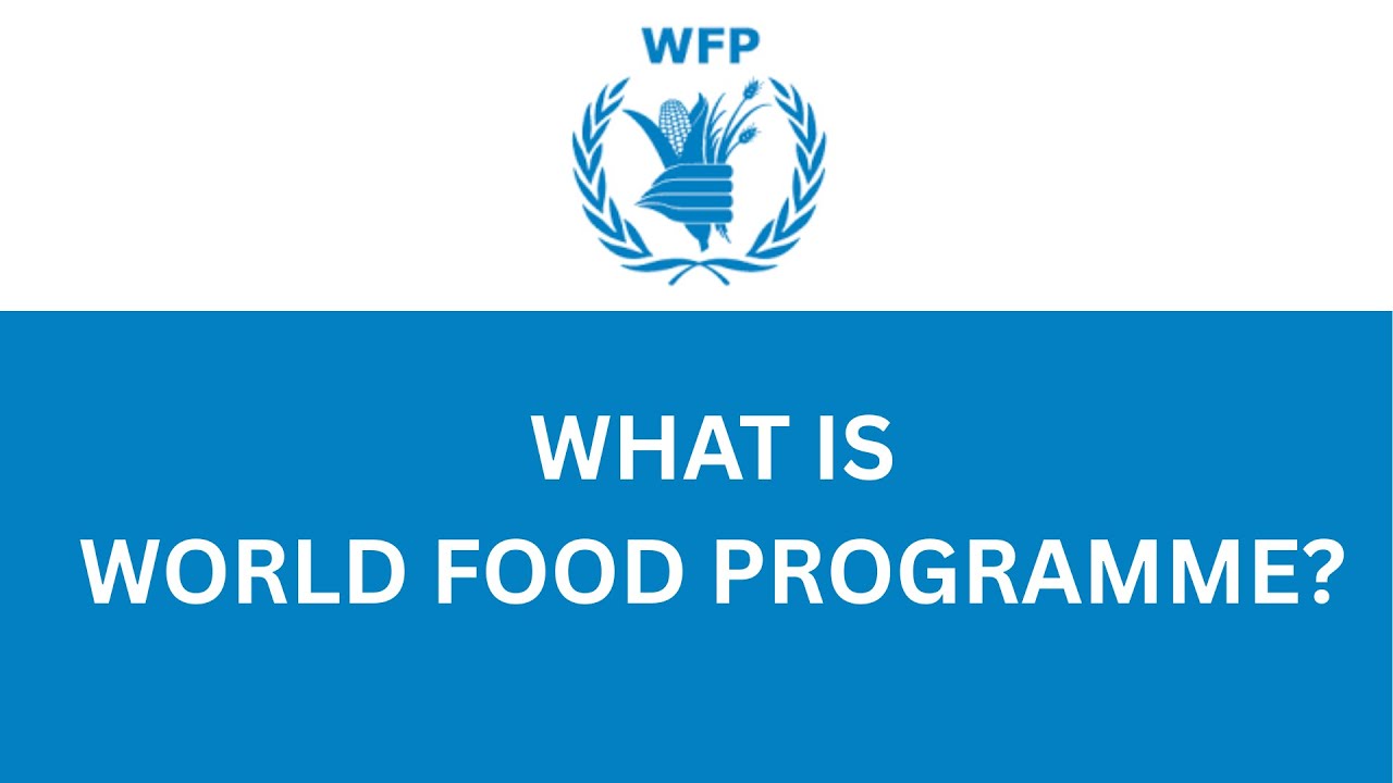 WHAT IS WFP?