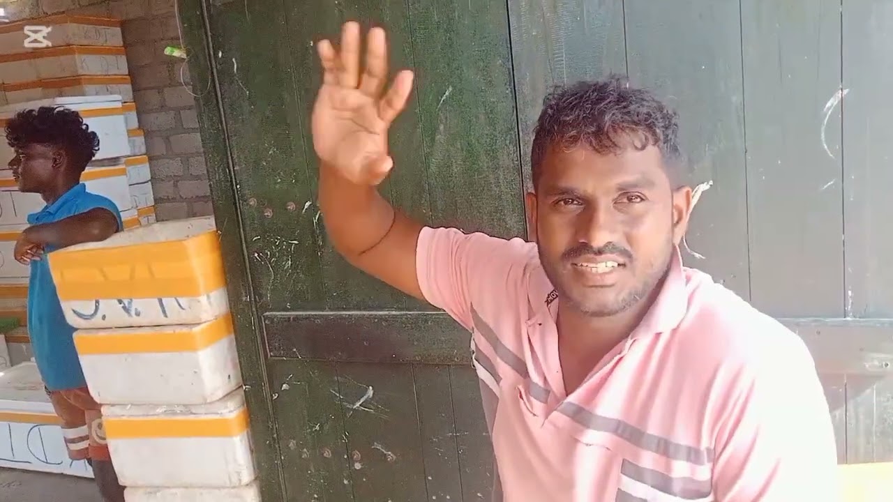 Рыболовство и быстрая реализация продукции с использованием 12 моторных лодок в Караитиву