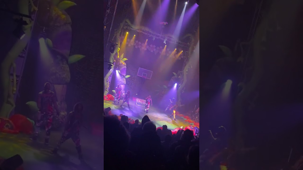 Hey guys I was at the big kids circus today, here’s a few clips ￼