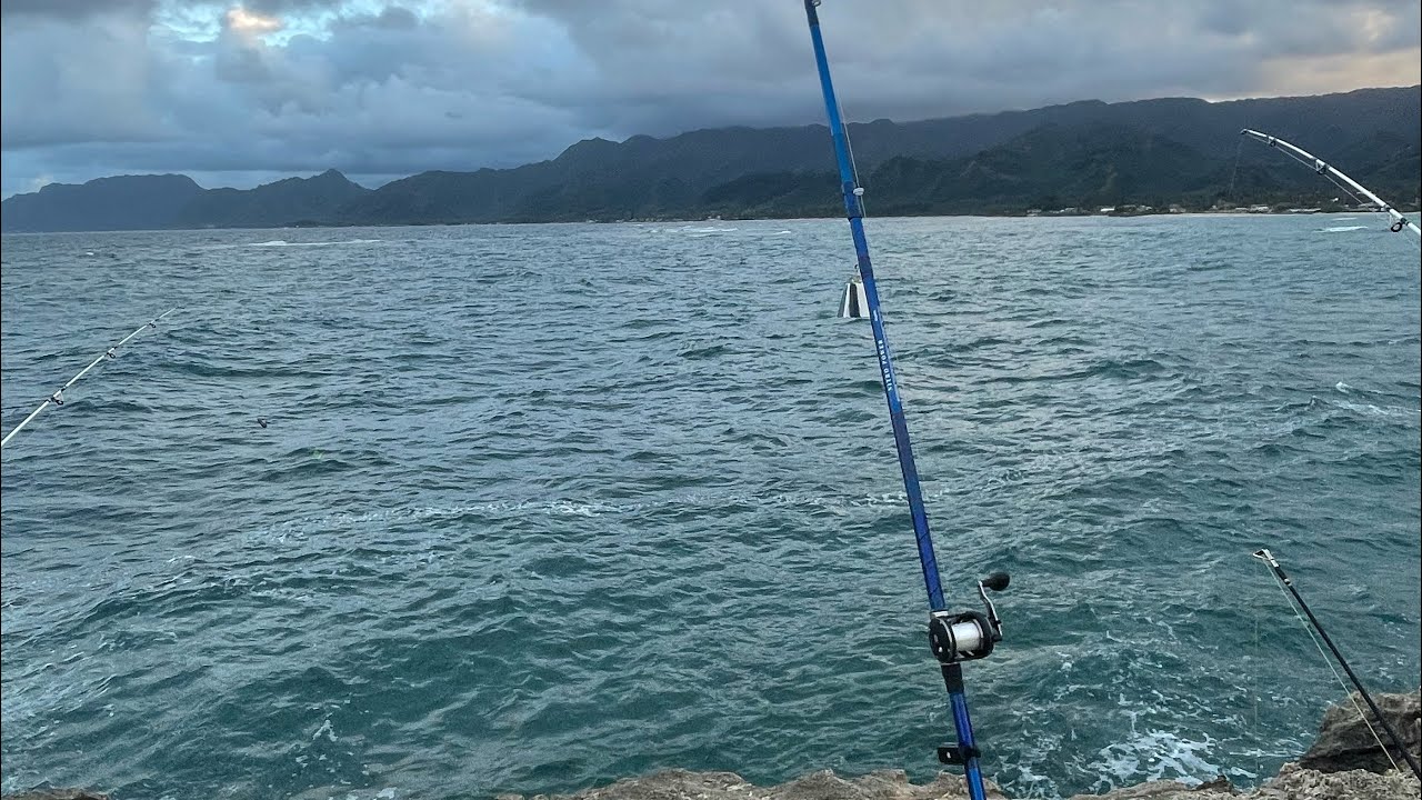 Weekend fishing trip! 🤙 