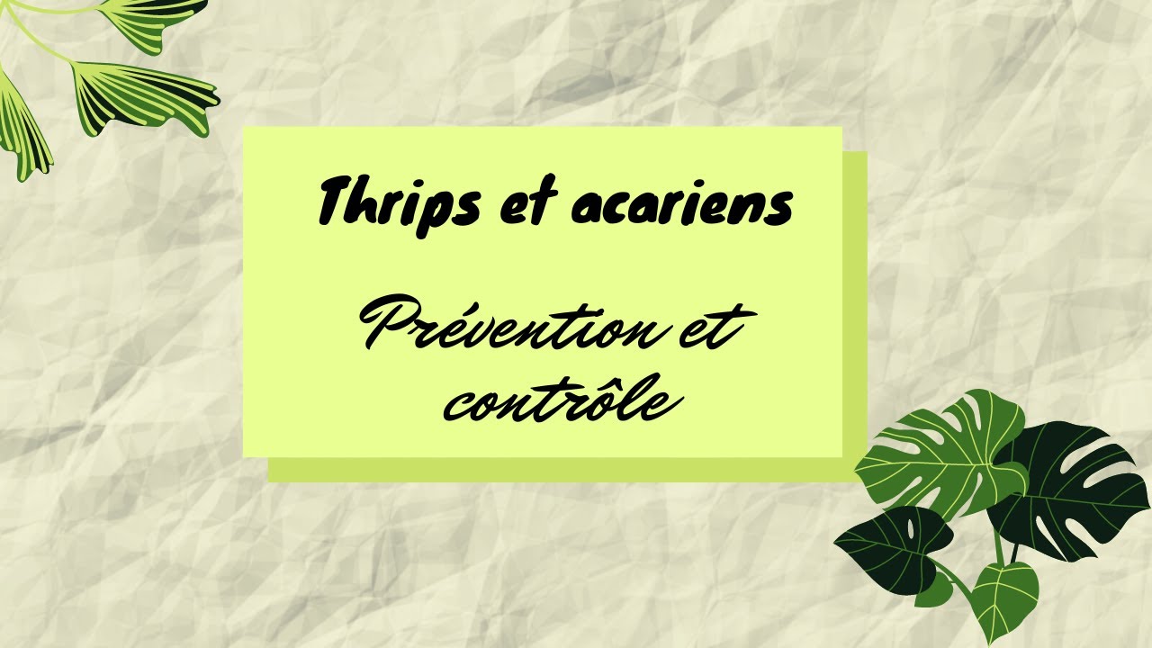 thrips et acariens : Prévention et contrôle
