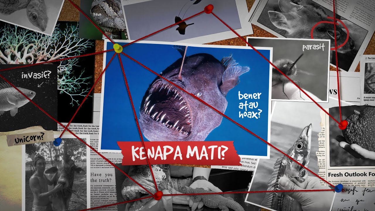 Mengidentifikasi Binatang Misterius Kiriman Netizen #AlamSemenit
