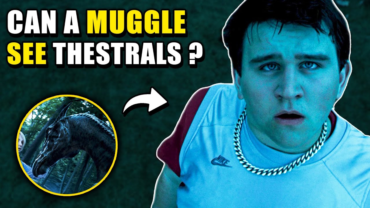 Can Muggles See THESTRALS? - Harry Potter Theory